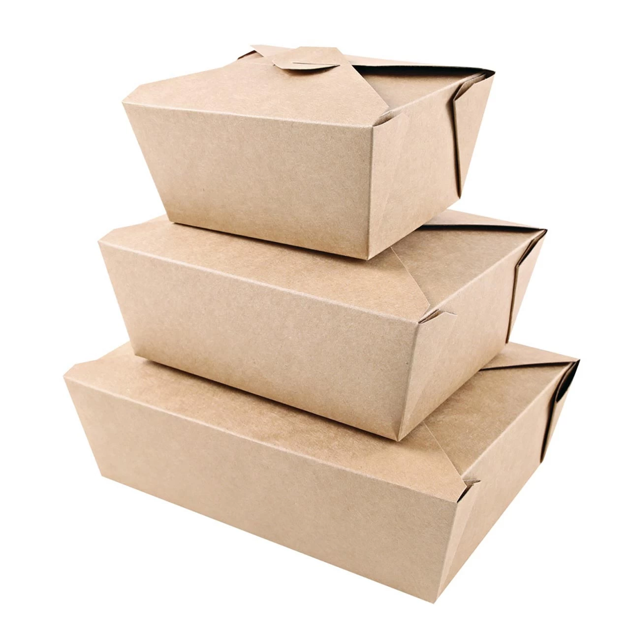 Bio-Foodbox "Menu" 21,5x16,2x6,4(cm), 50er-Pack – Bild 3