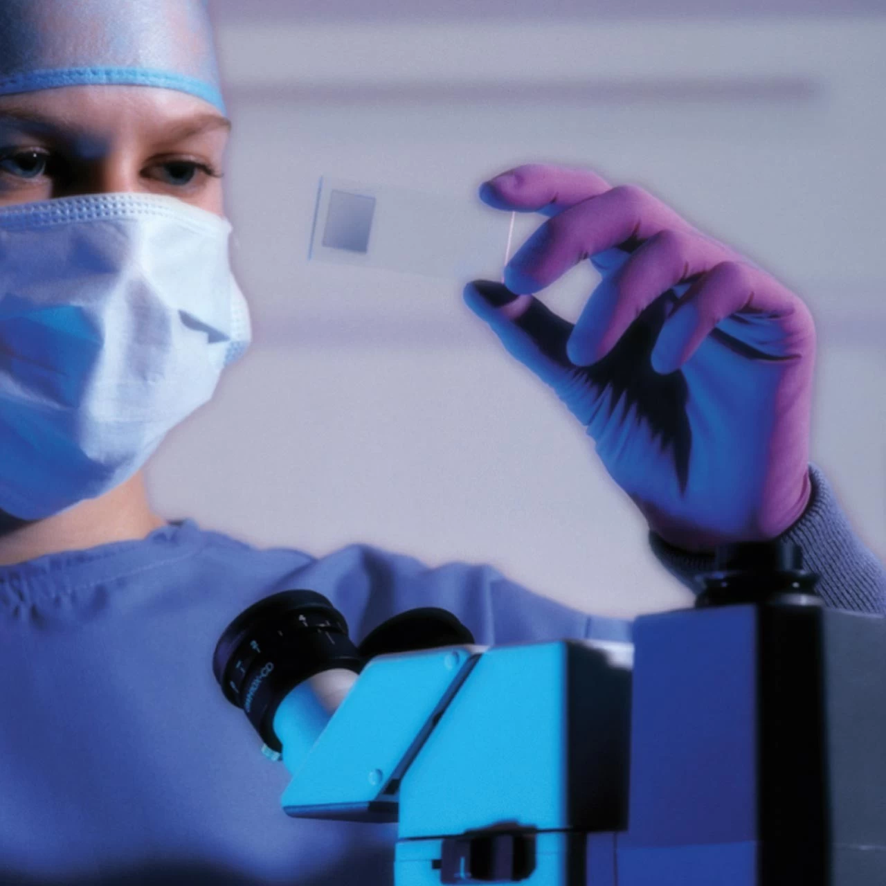 Mapa Naturlatex- Einweghandschuhe TRILITES 994, Violett â Bild 4